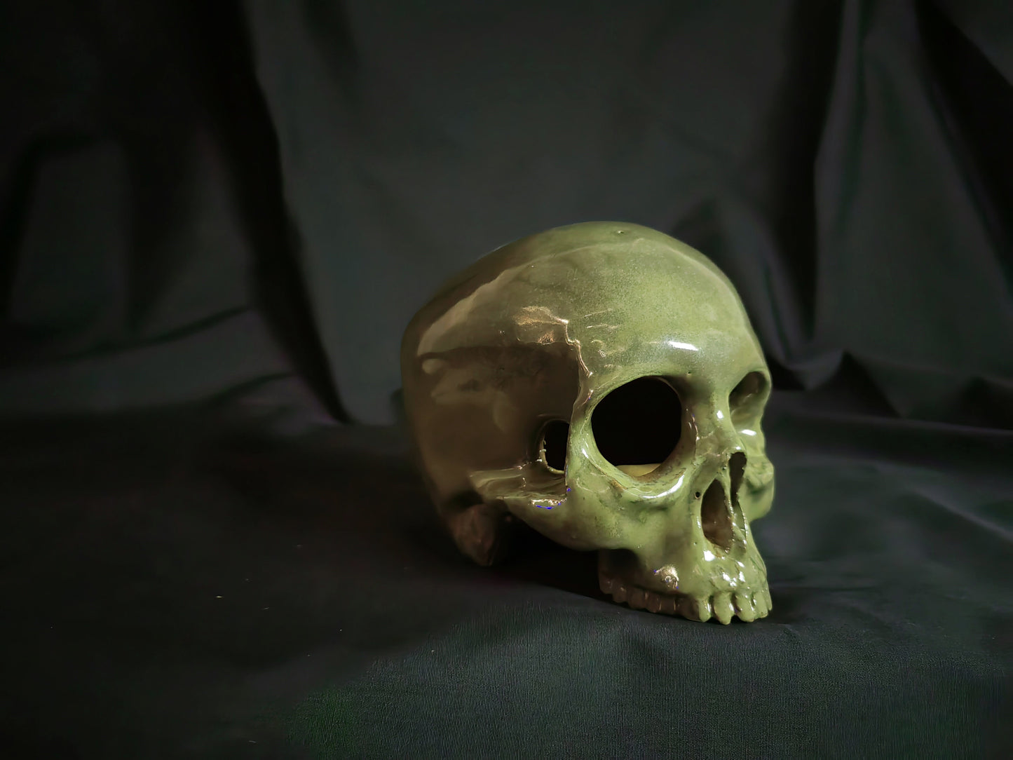 Human Skull